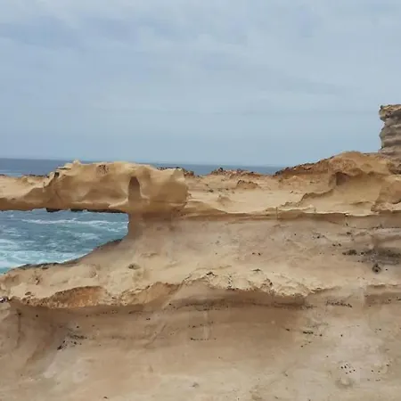 La Canada Tiscamanita