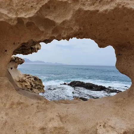 La Canada Tiscamanita